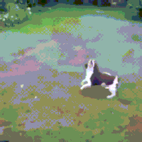 GIF by Giphy QA