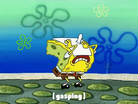 season 3 GIF by SpongeBob SquarePants