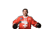 Celebrate National Team Sticker by Swiss Ice Hockey