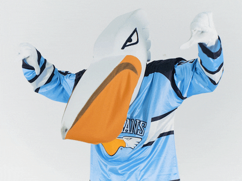 PelicansFi giphyupload no hockey mascot GIF