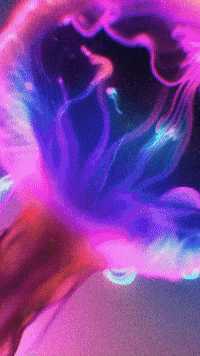 Chromatic Chroniclles 46