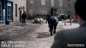 Walk Together Lets Go GIF by MASTERPIECE | PBS