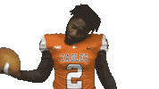 Football College Sticker by Carson-Newman Athletics