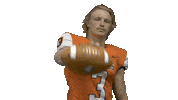 Nfl Preseason Football Sticker by Carson-Newman Athletics