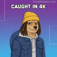 Uh Oh Oops GIF by Doge Pound