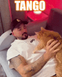 Cat Tango GIF