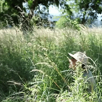 Get Up Run GIF by Four Rest Films