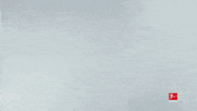 So What Reaction GIF by Bundesliga