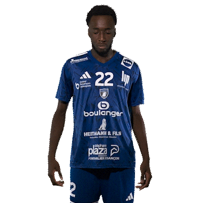 Celebration Hand Sticker by GRAND BESANÇON DOUBS HANDBALL