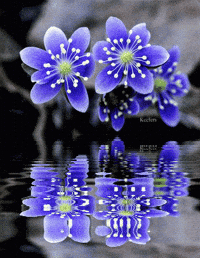 Flowers In The Attic GIF