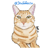 Cats Chat Sticker