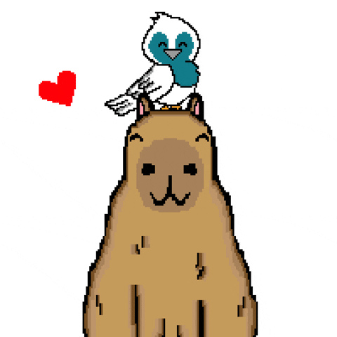 romyro22 giphyupload tierno capibara pajarito GIF