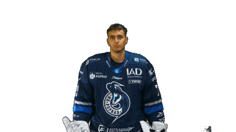 Goalie Slavik Sticker by HK Poprad