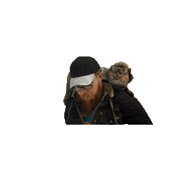 Tora National Cat Day Sticker by Gray Hat Films