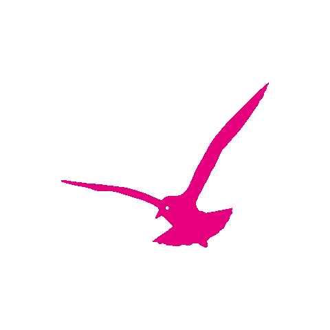 GlaveGruppe giphyupload logo möwe werbeteam Sticker