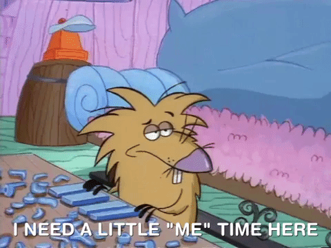 nickrewind giphydvr nicksplat angry beavers giphyab010 GIF