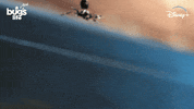 National Geographic Bug GIF by Nat Geo Wild