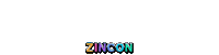 Zincon Zumbawear Sticker by Zumba Fitness