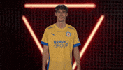 Eintracht Braunschweig Hello GIF by Bundesliga