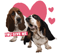 valentines day love Sticker