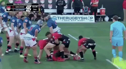 sammytuitalifalinoaa giphyupload GIF