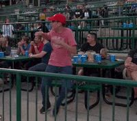 Dance Fans GIF by TinCaps