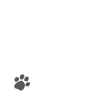 Dog Love Sticker by jun