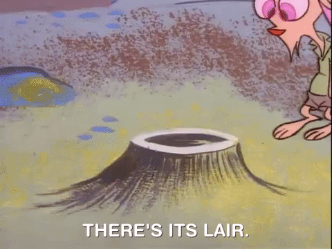 ren and stimpy nicksplat GIF