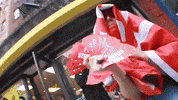 freestefanos stefanos free stefanos freestefanos tefanos GIF