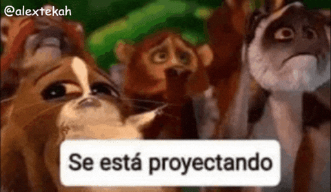 Madagascar Mort GIF