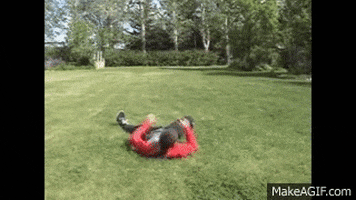 starfish GIF