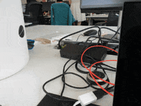 surprise frog zoom desk hidden GIF