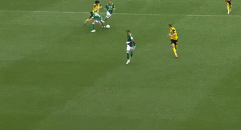 petrfrmel giphyupload GIF