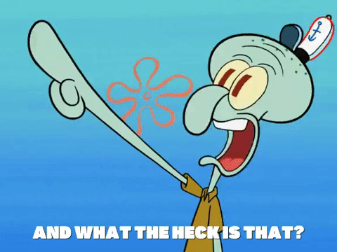 season 6 GIF by SpongeBob SquarePants