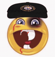 Pittsburgh Steelers GIF by Respective