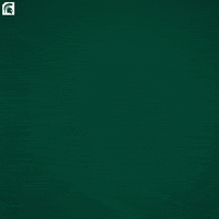 Msu Spartans GIF by Michigan State Athletics