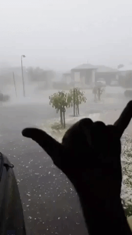Toddler Has Adorable Reaction to Seeing Hail for the First Time During Queensland Storm