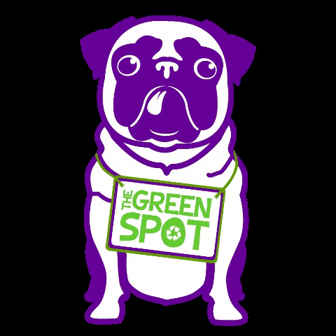 dog pug GIF by The Green Spot Omaha