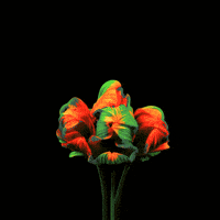Miss You Love GIF