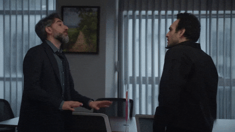 Bahar Evren GIF by Show TV