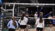 athletics volleyball GIF by GreenWave