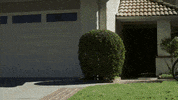 GIF by EXPELLED