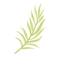 Plant Tree Sticker