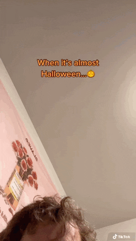 Trick Or Treat Reaction GIF by Friendly Neighbor Records