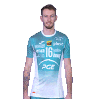 Volleyball Step Sticker by PGE Skra Bełchatów