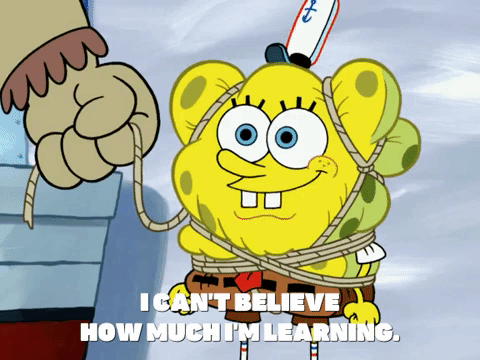 season 6 dear vikings GIF by SpongeBob SquarePants