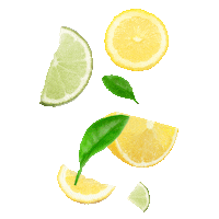 ketel1hardlemonade 1forall ketel1 ketel1hardlemonade fruitcluster Sticker