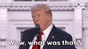 Donald Trump GIF by PBS News