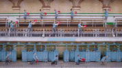Curing Albrecht GIF by English National Ballet
