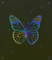 lijemorgan loop stars magic fly GIF